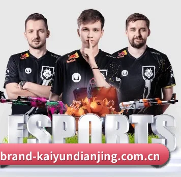 开云电竞 APP（Kaiyun Esport）